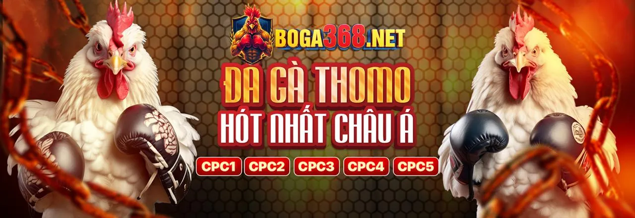 Đấu Gà Trực Tuyến WM88